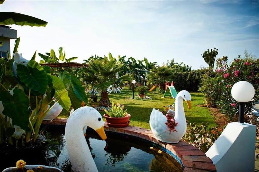Case Vacanze Giardino Parghelia Dış mekan fotoğraf