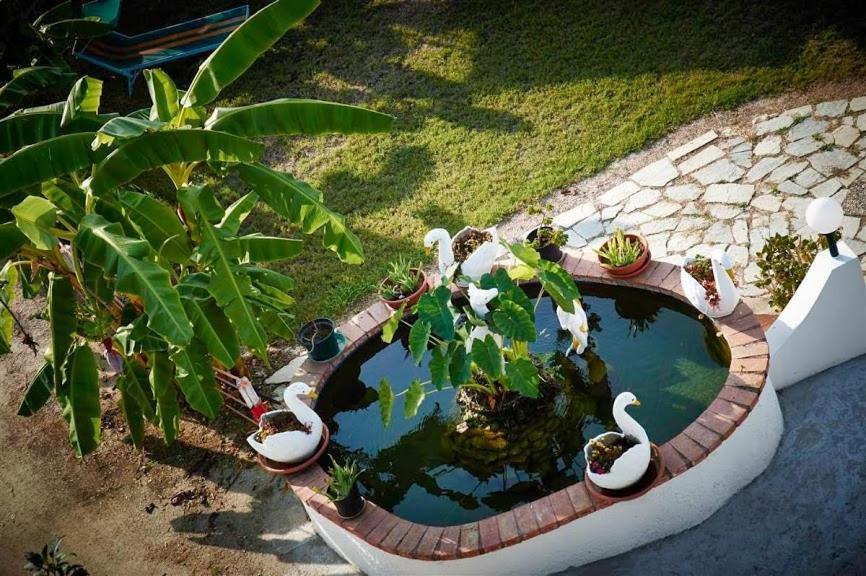 Case Vacanze Giardino Parghelia Dış mekan fotoğraf